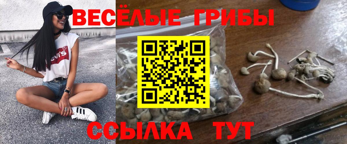 Псилоцибиновые грибы мухоморы Ефремов