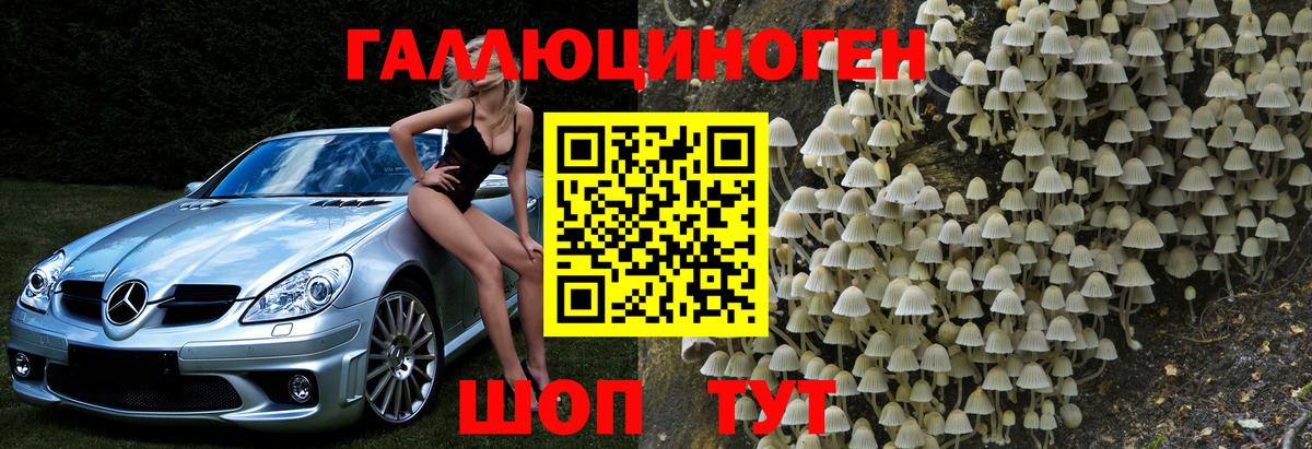 Ефремов  Галлюциногенные грибы Psilocybe  Вход с VPN  Галлюциногенные грибы Magic Shrooms 